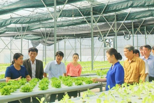 Đến năm 2045, Việt Nam sẽ góp mặt trong danh sách hợp tác xã tiêu biểu trên thế giới