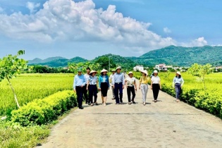 Hà Nội có thêm 8 xã đạt chuẩn nông thôn mới kiểu mẫu