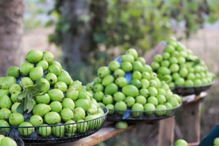 Hợp tác xã nông nghiệp nỗ lực đưa công nghệ sạch vào sản xuất