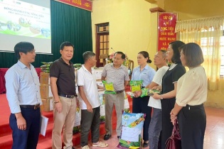 Hà Nội hỗ trợ giống, vật tư cho nông dân bị thiệt hại do cơn bão số 3