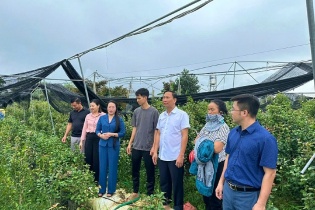 Hiệu quả từ những hoạt động hỗ trợ, tư vấn, đào tạo nghề cho hội viên Hội Nông dân
