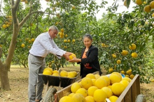 Hà Nội phát triển nông nghiệp theo hướng an toàn, bền vững, nâng cao giá trị