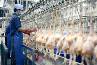 Công nghệ số: “Chìa khóa” tối ưu hóa quản lý chăn nuôi