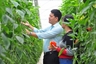 Tận dụng không gian đô thị, giúp nông dân vươn lên làm giàu