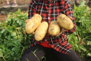 Sản xuất nông nghiệp thông minh thích ứng với biến đổi khí hậu