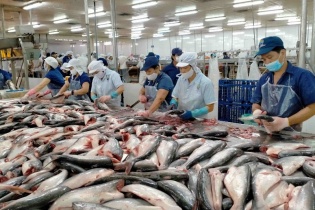 Xuất khẩu thủy sản năm 2025 kỳ vọng vượt mốc 10 tỷ USD