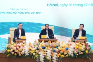 Chính phủ đưa ra nhiều giải pháp đồng bộ cho nông sản Việt