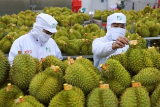 Xuất khẩu nông sản gặp khó đầu năm 2025