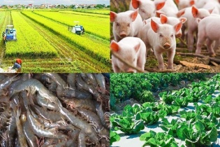 Hết tháng 2/2025, xuất khẩu nông lâm thủy sản vượt mốc 9,3 tỷ USD