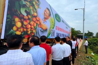 Xuất khẩu nông sản Việt Nam đón nhận nhiều tín hiệu tích cực