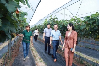 Phát huy thế mạnh của các chi hội nông dân trong nông nghiệp Thủ đô