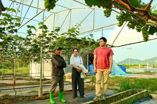 Hoàn thiện thể chế, tháo gỡ điểm nghẽn cho ngành trồng trọt và bảo vệ thực vật