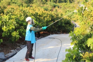 Tháo gỡ vướng mắc trong phân quyền, phân cấp lĩnh vực trồng trọt và bảo vệ thực vật
