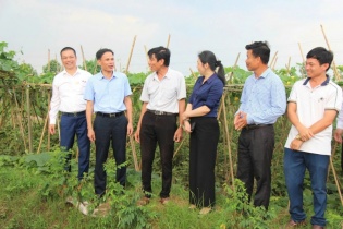 Hà Nội ưu tiên vùng sản xuất tập trung trong chương trình khuyến nông giai đoạn 2026 - 2030
