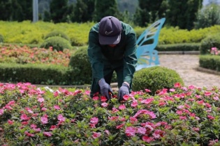 Mùa mưa bão và lời cảnh tỉnh cho an toàn du lịch Việt Nam