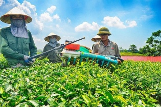 Dòng vốn tín dụng ưu đãi tạo sức bật cho nông thôn mới phát triển bền vững