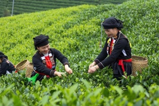 Thái Nguyên đặt mục tiêu giảm tỷ lệ hộ nghèo còn 4,65% trong năm 2025