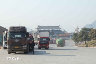 Bộ Nông nghiệp và Môi trường lập đường dây nóng xử lý vướng mắc Nghị định 46