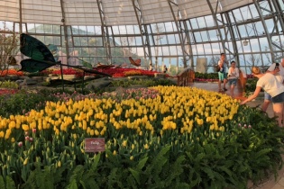 Tổ chức lễ hội hoa tulip lớn nhất Việt Nam tại Vinpearl Nha Trang