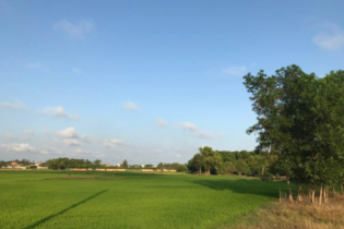Tôi bán nhà phố về quê để trốn ồn ào đô thị