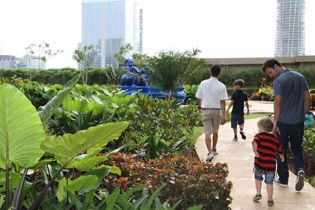 Cân bằng “đa trải nghiệm” tại Vườn Nhật The Zenpark