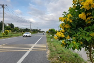 Hậu Giang đề xuất Thủ tướng cho phép đầu tư giai đoạn 2 Quốc lộ 61C