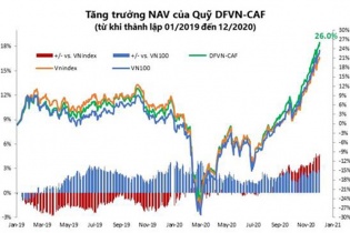 Quỹ mở DFVN - “Quả ngọt” năm 2020