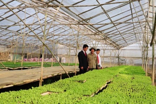 Agribank - ngân hàng chủ lực cung ứng vốn cho tam nông, tạo động lực tăng trưởng kinh tế