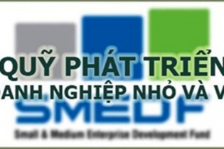 Quỹ Phát triển doanh nghiệp nhỏ và vừa tuyển dụng lao động hợp đồng năm 2021