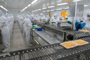 Đồng bằng sông Cửu Long: Đa số doanh nghiệp chỉ hoạt động từ 5-10% công suất