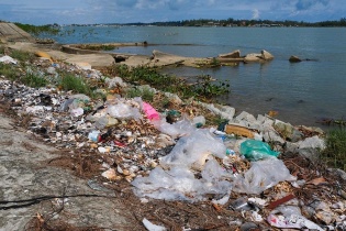 WWF Việt Nam nâng cao trách nhiệm giảm rác thải nhựa