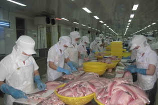 An Giang ban hành kế hoạch đảm bảo sản xuất ổn định trong tình hình dịch COVID-19