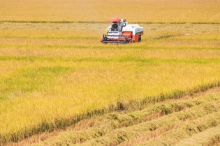 Cần Thơ thu hồi dự án nông nghiệp công nghệ cao vốn gần 3.584 tỷ đồng