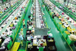 Doanh nghiệp thành lập mới tăng vọt trong tháng 11