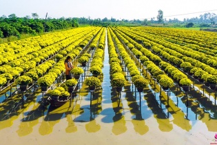 Đồng Tháp đặt mục tiêu thu hút trên 5 triệu lượt du khách