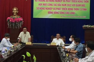 Tạo sức bật thương hiệu cho ngành nông nghiệp ĐBSCL