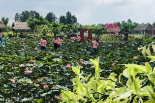 Đồng Tháp đăng cai tổ chức Lễ hội Sen lần 1
