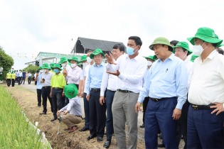Đồng Tháp cần tiên phong phát triển kinh tế nông nghiệp vùng ĐBSCL