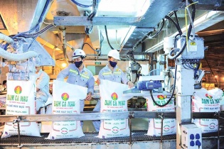 Quý  I/2022: Doanh nghiệp phân bón lãi tăng gấp 5-10 lần cùng kỳ 