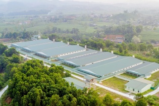 Bí quyết của chăn nuôi bền vững là chủ động nguồn con giống