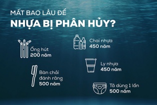 Hiểu đúng về nhựa phân huỷ sinh học để tiêu dùng thông minh