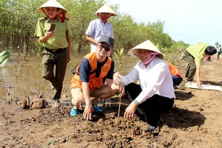 Trà Vinh triển khai Dự án phục hồi rừng ngập mặn năm 2022