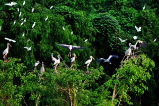 Rong ruổi phương Nam: Thiên nhiên nơi cuối trời Tổ quốc