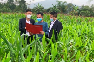 Agribank – Khẳng định vai trò chủ lực đầu tư “Tam nông”