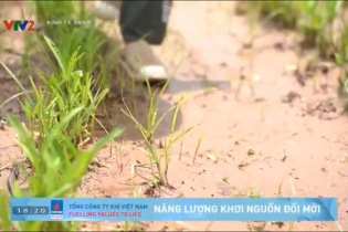 Chương trình Kinh tế xanh phát triển mô hình nông nghiệp hữu cơ tại Việt Nam 