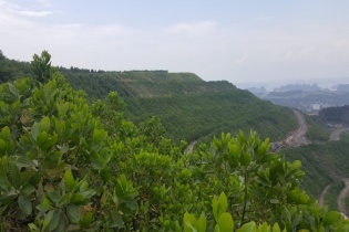 TKV nỗ lực bảo vệ môi trường trong sản xuất