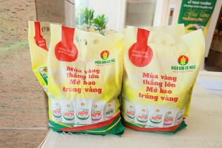 “Mùa vàng thắng lớn” tiếp nối bờ vui