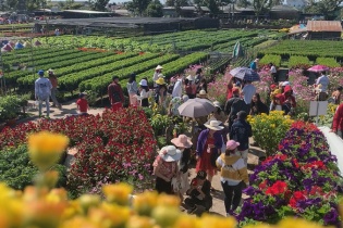 TP. Sa Đéc tổ chức Lễ hội hoa Xuân nhân 10 năm thành lập 