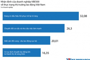 Thị trường lao động Việt Nam: Góc nhìn từ các doanh nghiệp VBE500