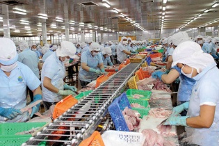 Tìm giải pháp thích ứng với biến đổi khí hậu tại Đồng bằng sông Cửu Long